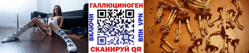 Псилоцибиновые грибы прущие грибы  Сафоново 