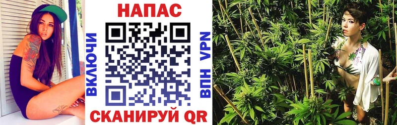 Конопля индика  где можно купить   Сафоново 